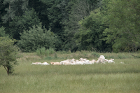 img47